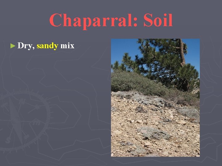 Chaparral: Soil ► Dry, sandy mix 