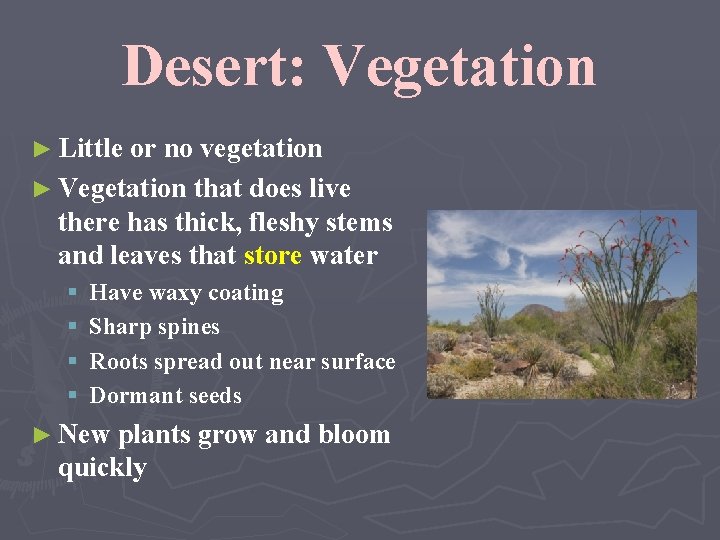 Desert: Vegetation ► Little or no vegetation ► Vegetation that does live there has