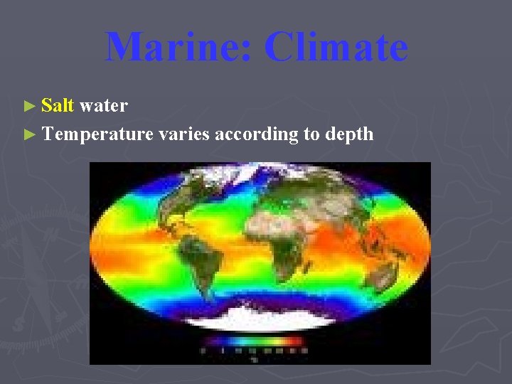 Marine: Climate ► Salt water ► Temperature varies according to depth 