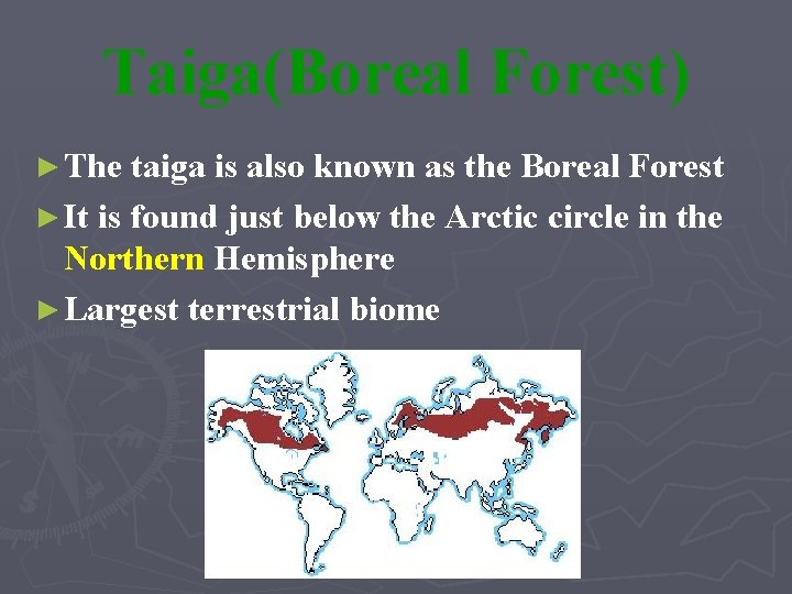 Taiga(Boreal Forest) ► The taiga is also known as the Boreal Forest ► It