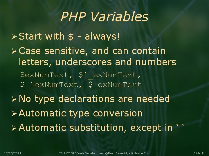 Lecture 5 PHP Basics Course logo spider web