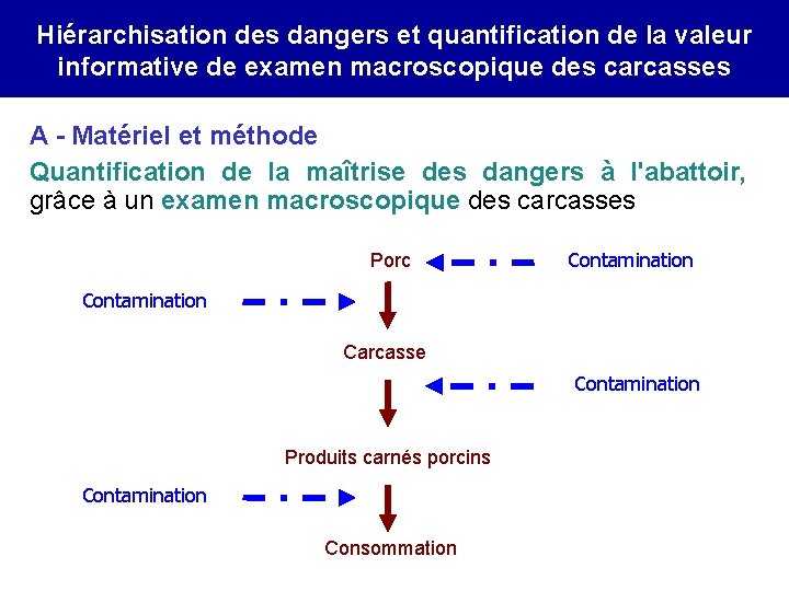 Hiérarchisation des dangers et quantification de la valeur informative de examen macroscopique des carcasses