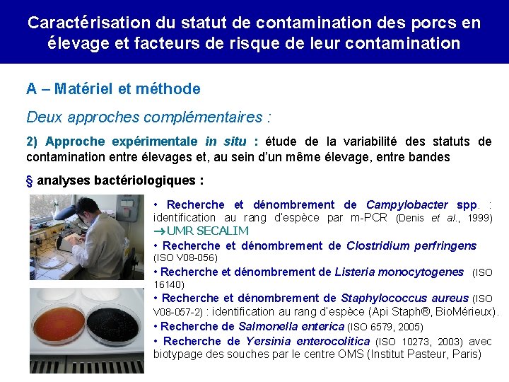 Caractérisation du statut de contamination des porcs en élevage et facteurs de risque de