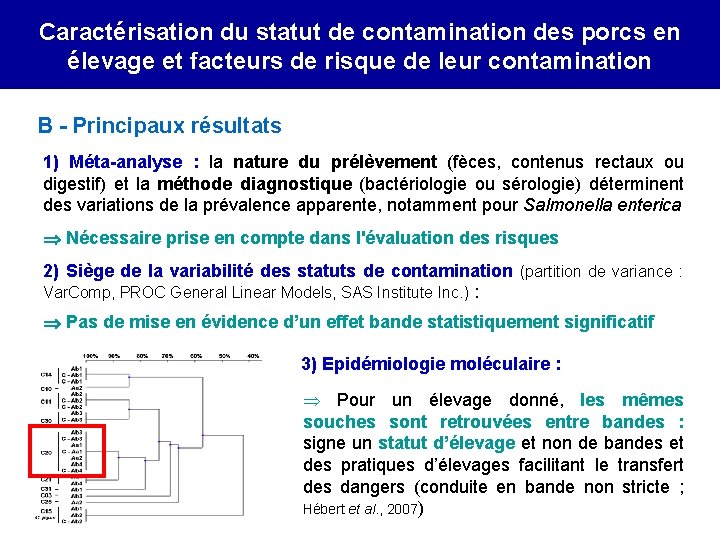 Caractérisation du statut de contamination des porcs en élevage et facteurs de risque de