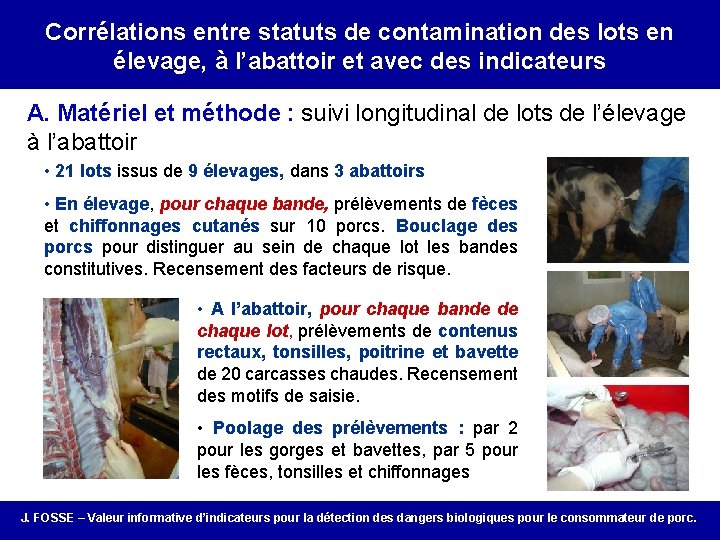 Correlation between on-farm porcs infection Corrélations entre statuts de contamination des lotsand en élevage,