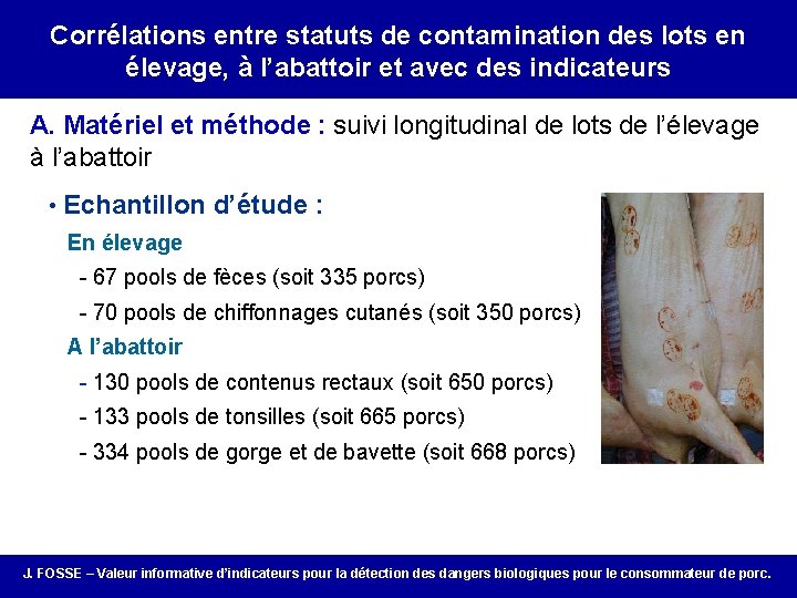 Correlation between on-farm porcs infection Corrélations entre statuts de contamination des lotsand en élevage,