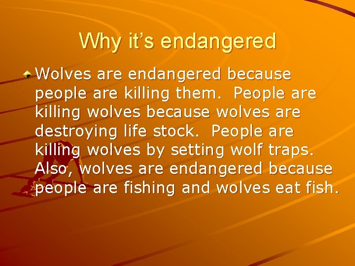Why it’s endangered Wolves are endangered because people are killing them. People are killing
