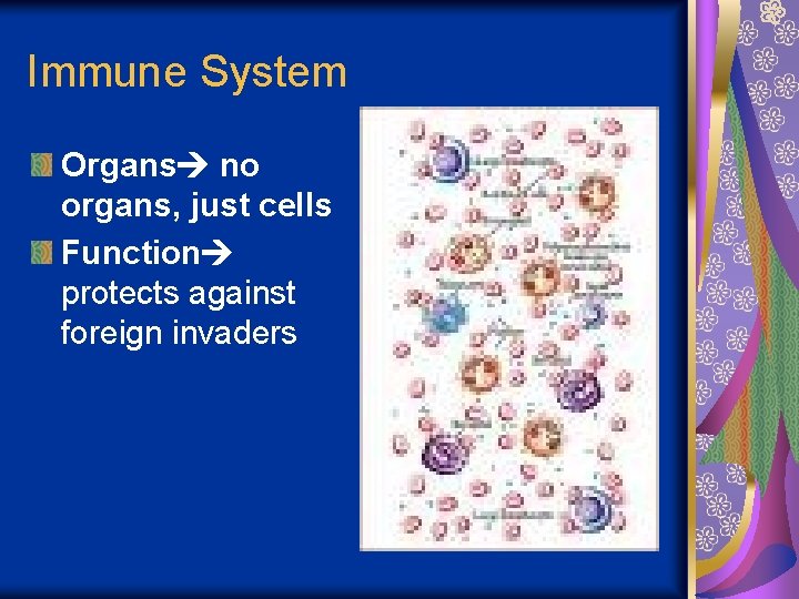 Immune System Organs no organs, just cells Function protects against foreign invaders 
