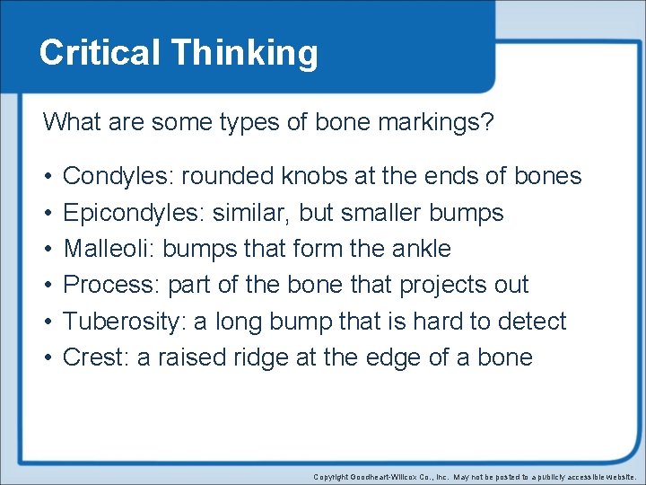 Critical Thinking What are some types of bone markings? • • • Condyles: rounded