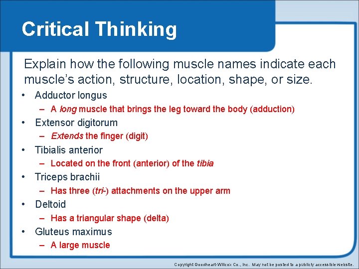 Critical Thinking Explain how the following muscle names indicate each muscle’s action, structure, location,