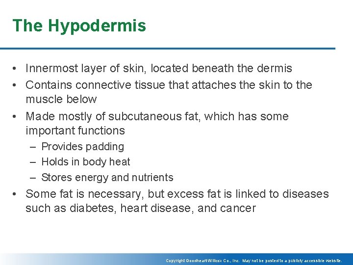 The Hypodermis • Innermost layer of skin, located beneath the dermis • Contains connective