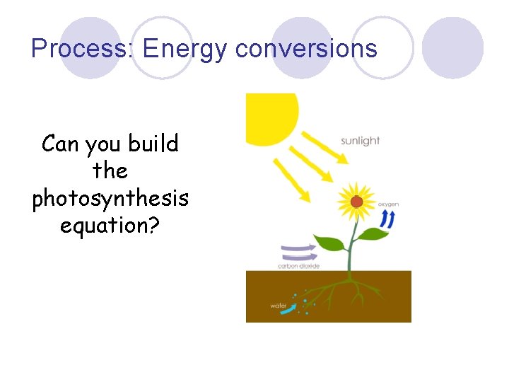 Process: Energy conversions Can you build the photosynthesis equation? 