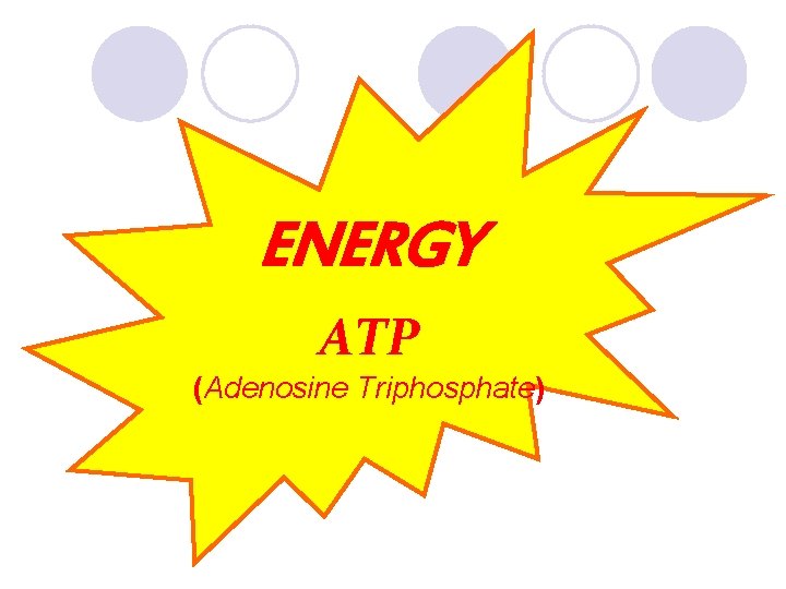 ENERGY ATP (Adenosine Triphosphate) 