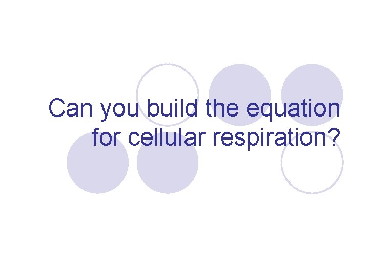 Can you build the equation for cellular respiration? 