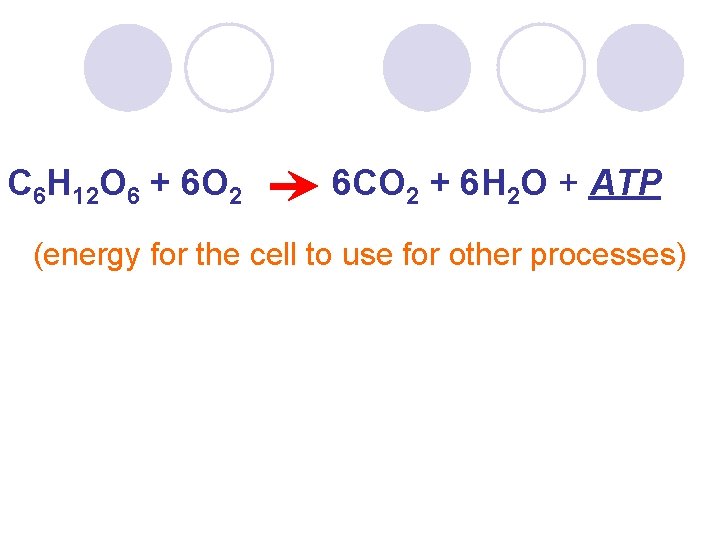 C 6 H 12 O 6 + 6 O 2 6 CO 2 +