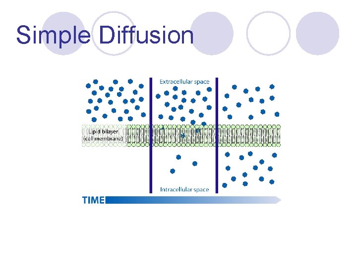Simple Diffusion 