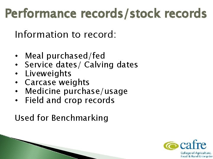 Performance records/stock records Information to record: • • • Meal purchased/fed Service dates/ Calving