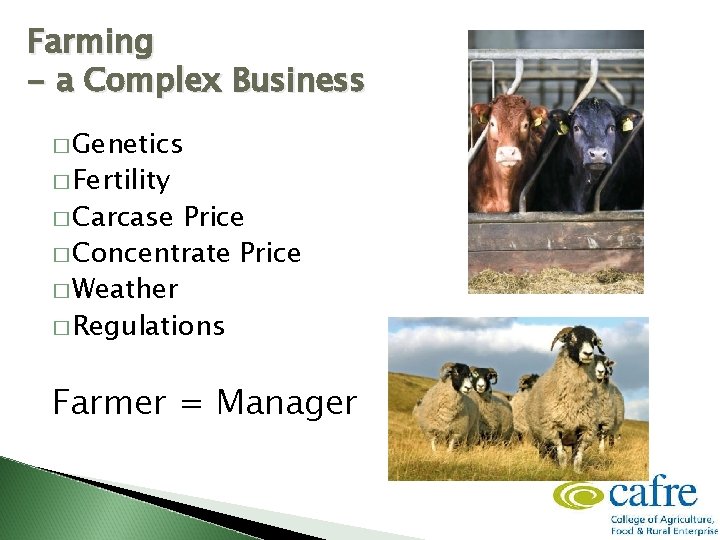 Farming - a Complex Business � Genetics � Fertility � Carcase Price � Concentrate
