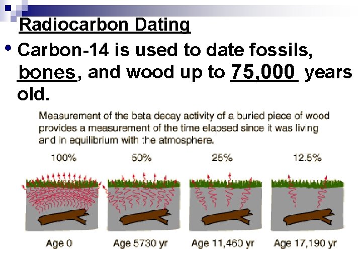 Radiocarbon Dating • Carbon-14 is used to date fossils, ______ 75, 000 years bones