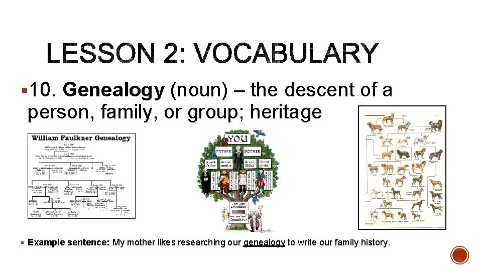 § 10. Genealogy (noun) – the descent of a person, family, or group; heritage