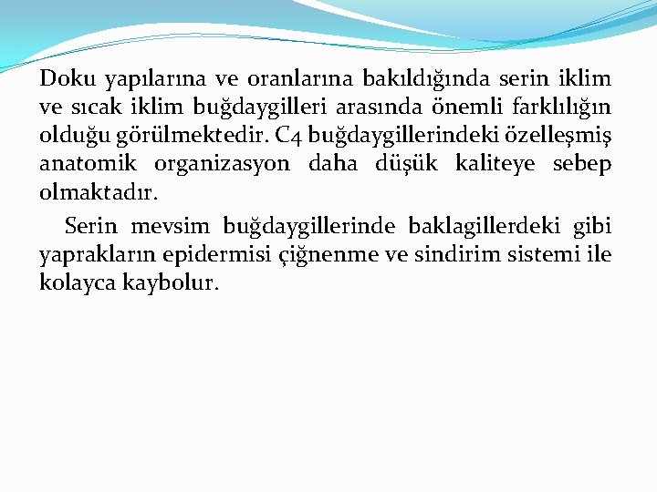 Doku yapılarına ve oranlarına bakıldığında serin iklim ve sıcak iklim buğdaygilleri arasında önemli farklılığın