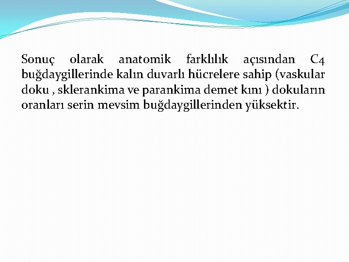 Sonuç olarak anatomik farklılık açısından C 4 buğdaygillerinde kalın duvarlı hücrelere sahip (vaskular doku