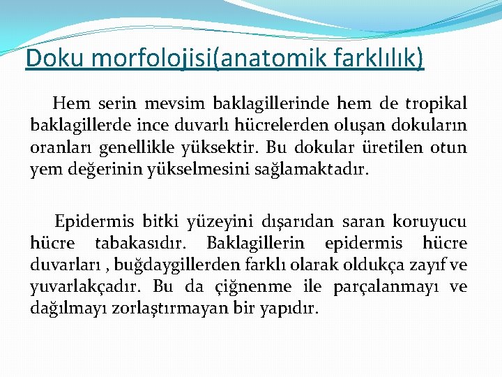 Doku morfolojisi(anatomik farklılık) Hem serin mevsim baklagillerinde hem de tropikal baklagillerde ince duvarlı hücrelerden