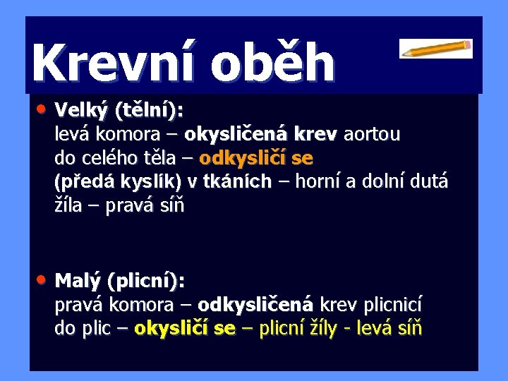 Krevní oběh • Velký (tělní): levá komora – okysličená krev aortou do celého těla