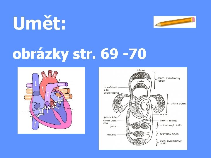 Umět: obrázky str. 69 -70 