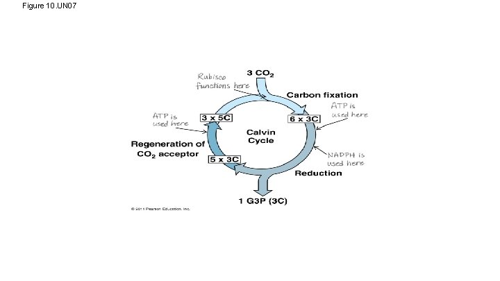 Figure 10. UN 07 