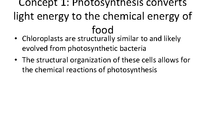 Concept 1: Photosynthesis converts light energy to the chemical energy of food • Chloroplasts