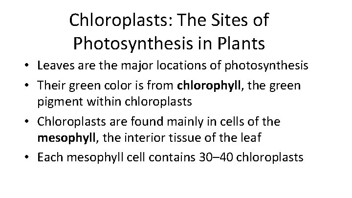 Chloroplasts: The Sites of Photosynthesis in Plants • Leaves are the major locations of