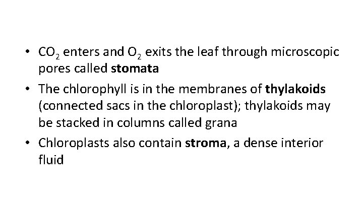  • CO 2 enters and O 2 exits the leaf through microscopic pores