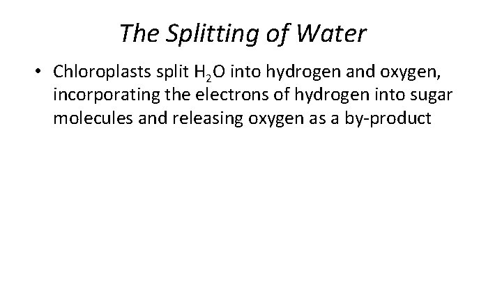 The Splitting of Water • Chloroplasts split H 2 O into hydrogen and oxygen,