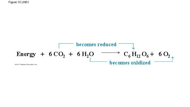 Figure 10. UN 01 becomes reduced Energy 6 CO 2 6 H 2 O