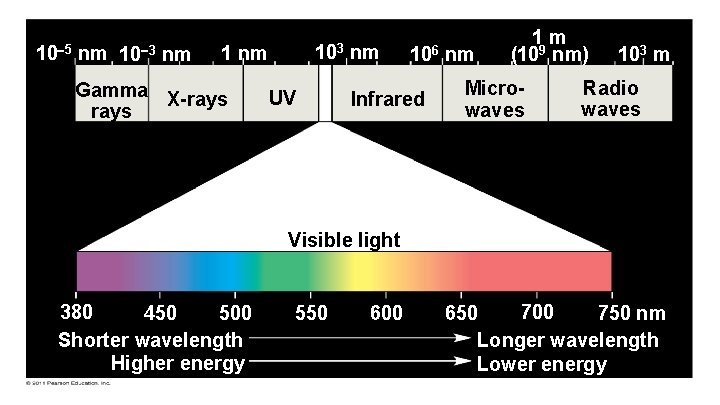 10 5 nm 10 3 nm 103 1 nm Gamma X-rays UV nm 106