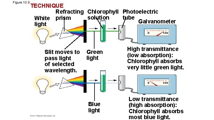 Figure 10. 9 TECHNIQUE Refracting Chlorophyll Photoelectric solution tube White prism Galvanometer light Slit