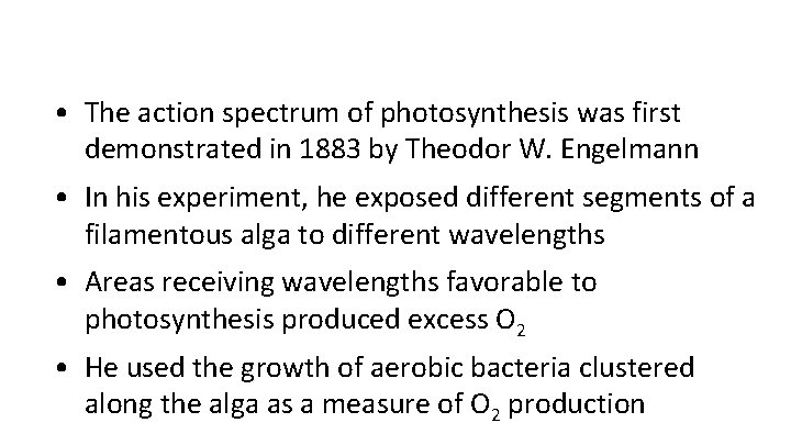  • The action spectrum of photosynthesis was first demonstrated in 1883 by Theodor