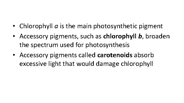  • Chlorophyll a is the main photosynthetic pigment • Accessory pigments, such as