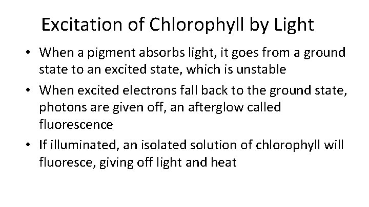 Excitation of Chlorophyll by Light • When a pigment absorbs light, it goes from