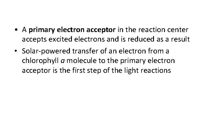  • A primary electron acceptor in the reaction center accepts excited electrons and