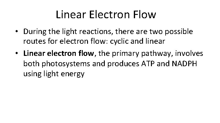 Linear Electron Flow • During the light reactions, there are two possible routes for