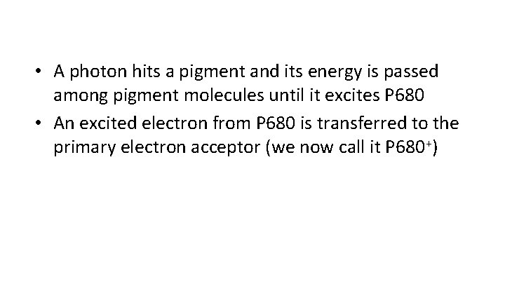  • A photon hits a pigment and its energy is passed among pigment