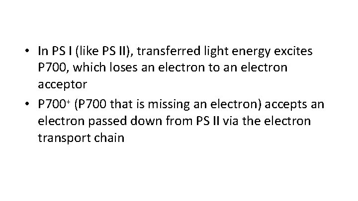  • In PS I (like PS II), transferred light energy excites P 700,