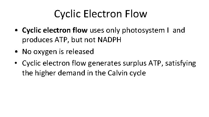 Cyclic Electron Flow • Cyclic electron flow uses only photosystem I and produces ATP,