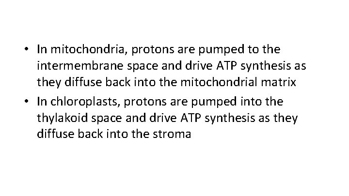  • In mitochondria, protons are pumped to the intermembrane space and drive ATP