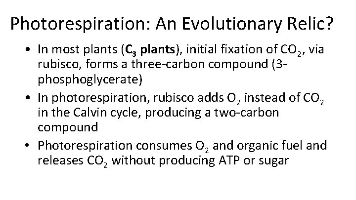 Photorespiration: An Evolutionary Relic? • In most plants (C 3 plants), initial fixation of