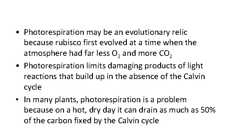  • Photorespiration may be an evolutionary relic because rubisco first evolved at a