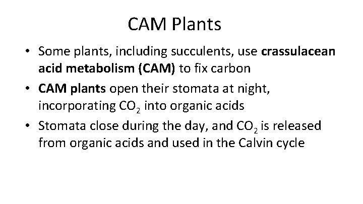 CAM Plants • Some plants, including succulents, use crassulacean acid metabolism (CAM) to fix