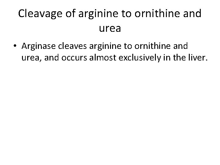 Cleavage of arginine to ornithine and urea • Arginase cleaves arginine to ornithine and